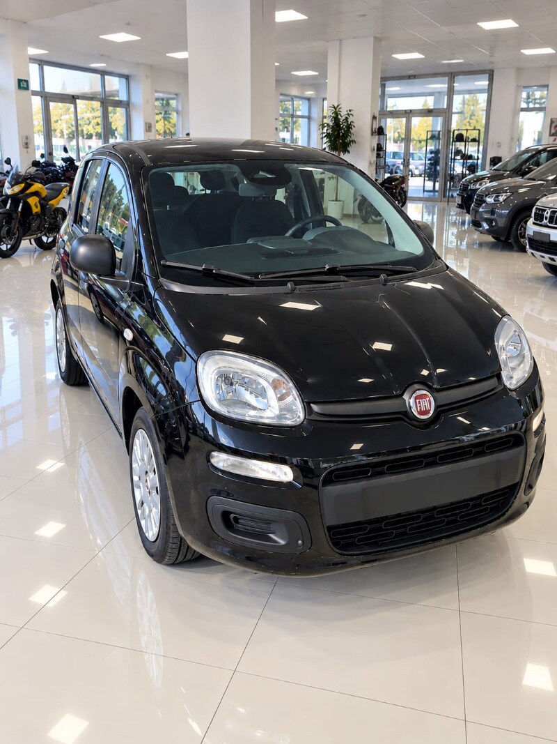 Foto FIAT Pandina